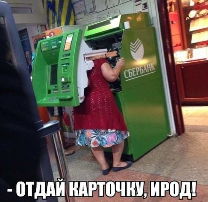 - ОТДАЙ КАРТОЧКУ, ИРОД!