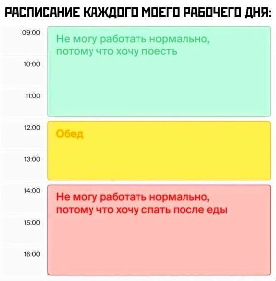 РАСПИСАНИЕ КАЖДОГО МОЕГО РАБОЧЕГО ДНЯ:\n09:00 Не могу работать нормально, потому что хочу поесть\n12:00 Обед\n14:00 Не могу работать нормально, потому что хочу спать после еды