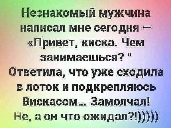Незнакомый мужчина написал мне сегодня — «Привет, киска. Чем занимаешься?» Ответила, что уже сходила в лоток и подкрепляюсь Вискасом... Замолчал! Не, а он что ожидал?!))))