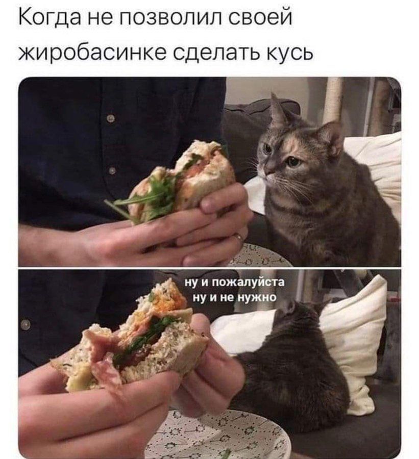 Когда не позволил своей жиробасинке сделать кусь
ну и пожалуйста ну и не нужно