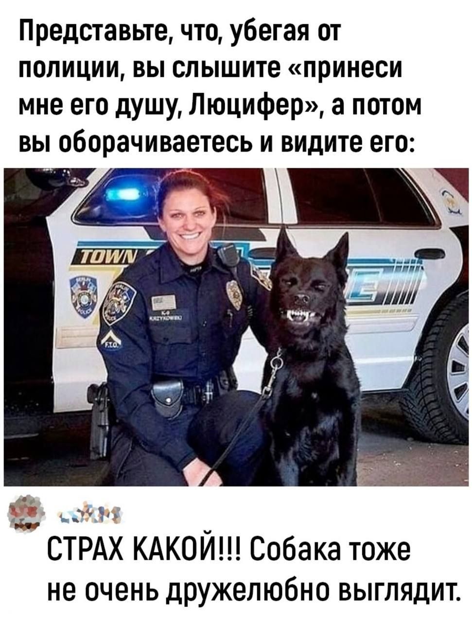 Представьте, что, убегая от полиции, вы слышите «принеси мне его душу, Люцифер», а потом вы оборачиваетесь и видите его:
СТРАХ КАКОЙ!!! Собака тоже не очень дружелюбно выглядит.