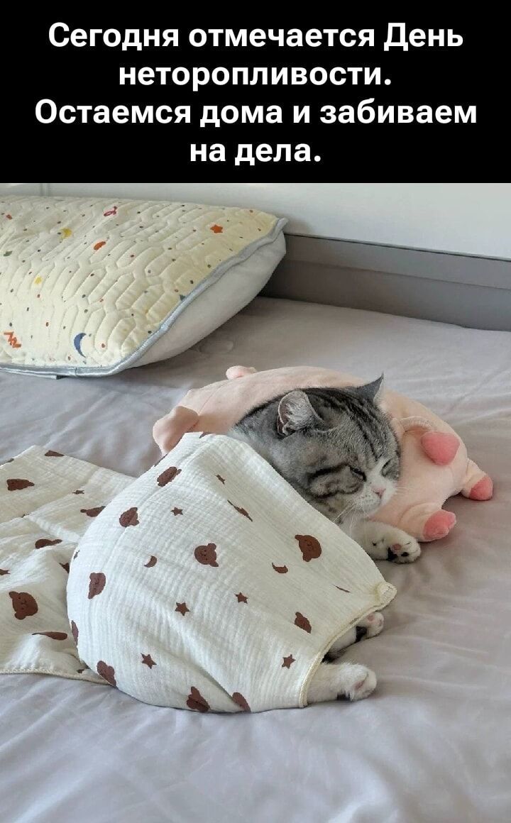 Сегодня отмечается День неторопливости. Остаемся дома и забиваем на дела.