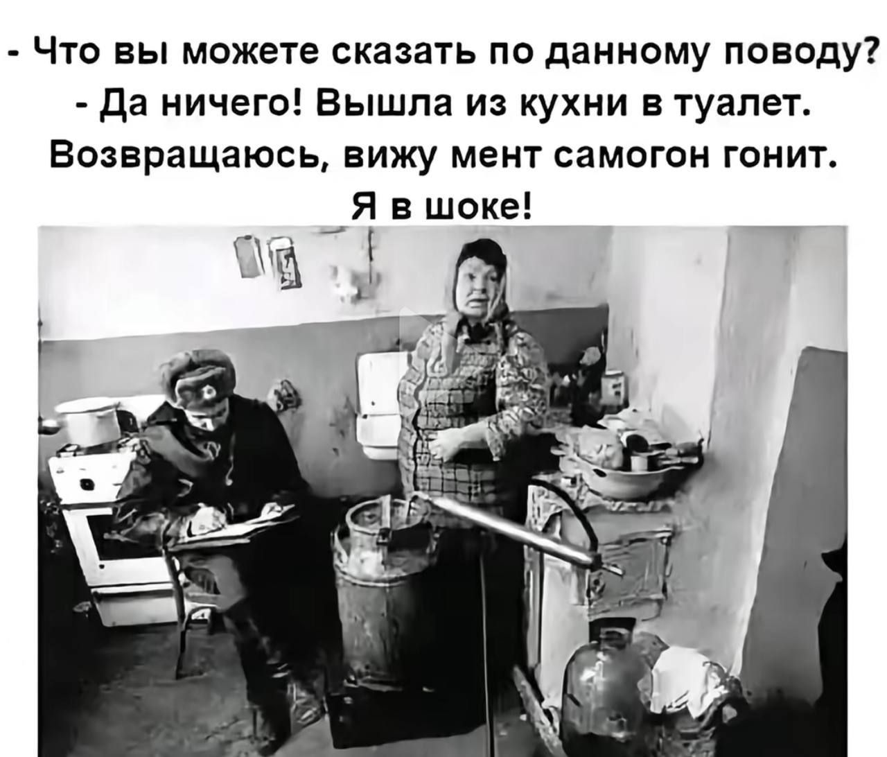 - Что вы можете сказать по данному поводу? - Да ничего! Вышла из кухни в туалет. Возвращаюсь, вижу мент самогон гонит. Я в шоке!