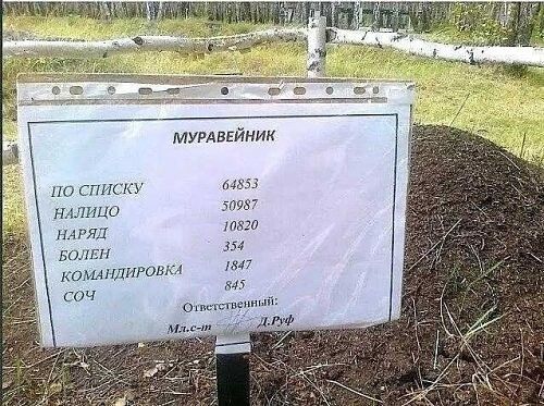 Муравейник
По списку 64853
Наличие 50987
Наряд 10820
Болен 354
Командировки 1847
Сочи 845
Ответственный: М. — Д. Руф