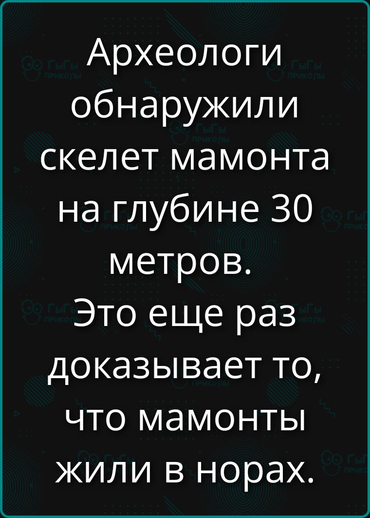 Археологи обнаружили скелет мамонта на глубине 30 метров. Это еще раз доказывает то, что мамонты жили в норах.