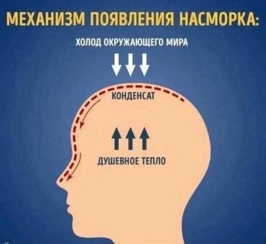 МЕХАНИЗМ ПОЯВЛЕНИЯ НАСМОРКА: ХОЛОД ОКРУЖАЮЩЕГО МИРА Конденсат Душевное тепло