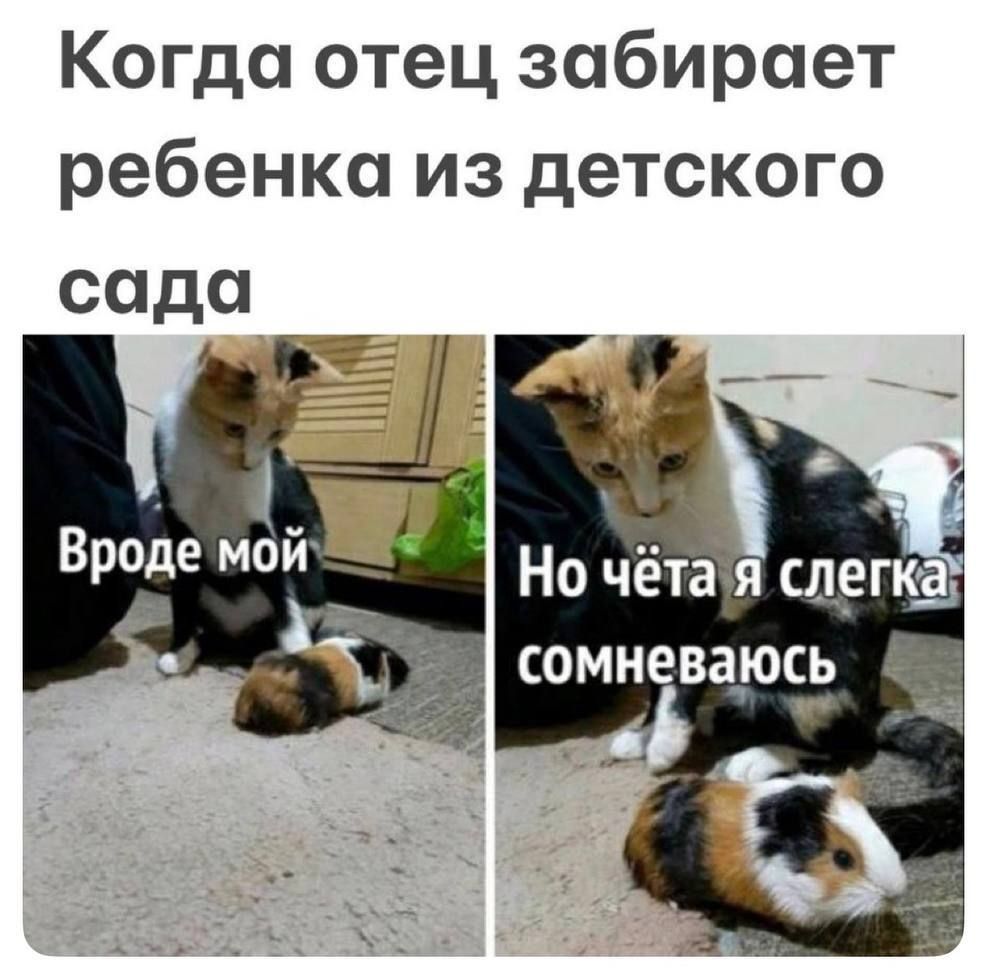 Когда отец забирает ребенка из детского сада\nВроде мой\nНо чёта я слегка сомневаюсь