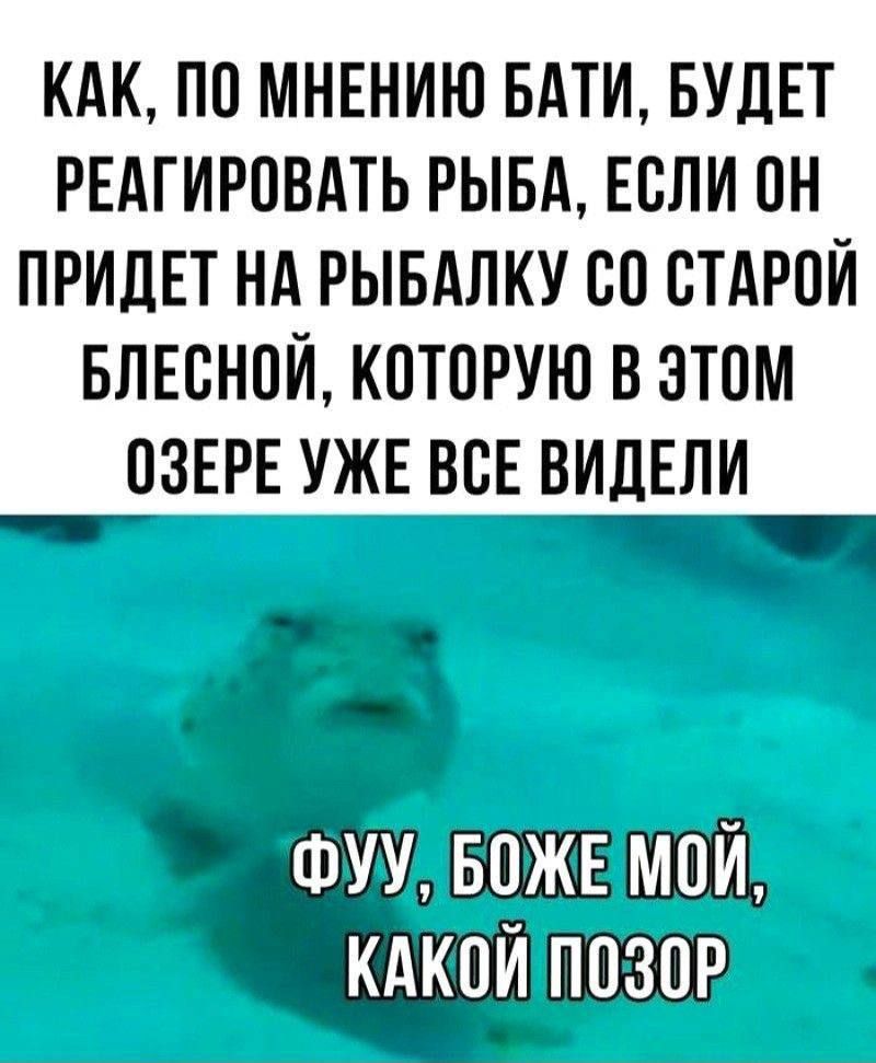 КАК, ПО МНЕНИЮ БАТИ, БУДЕТ РЕАГИРОВАТЬ РЫБА, ЕСЛИ ОН ПРИДЕТ НА РЫБАЛКУ СО СТАРОЙ БЛЕСНОЙ, КОТОРУЮ В ЭТОМ ОЗЕРЕ УЖЕ ВСЕ ВИДЕЛИ

ФУУ, БОЖЕ МОЙ, КАКОЙ ПОЗОР