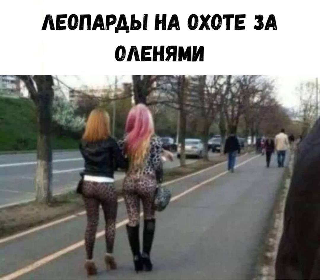 ЛЕОПАРДЫ НА ОХОТЕ ЗА ОЛЕНЬЯМИ