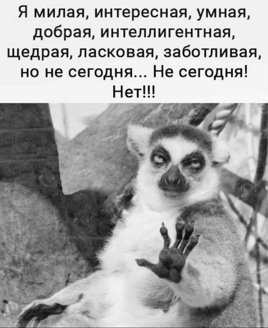 Я милая, интересная, умная, добрая, интеллигентная, щедрая, ласковая, заботливая, но не сегодня... Не сегодня! Нет!!!