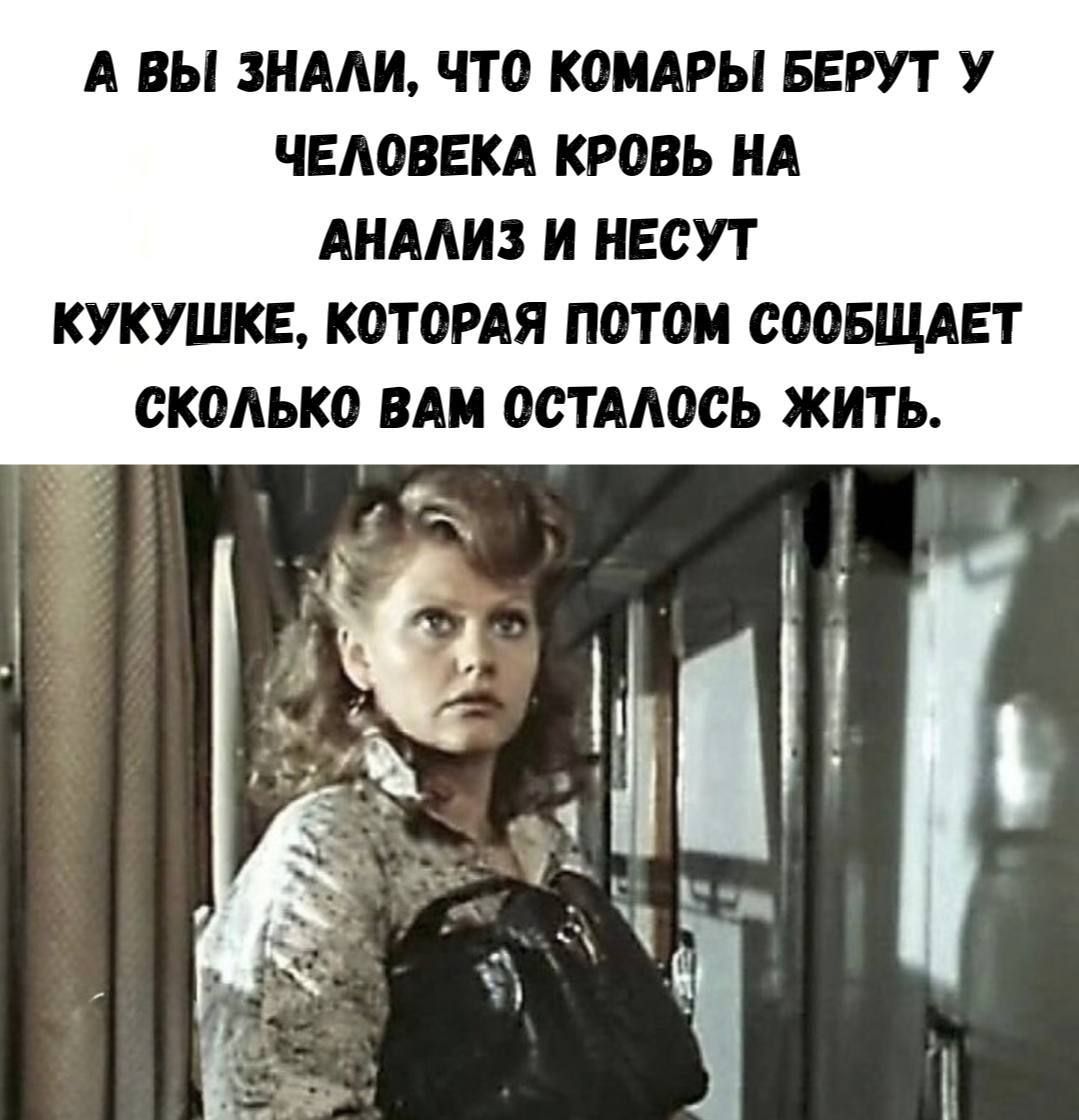 А ВЫ ЗНАЛИ, ЧТО КОМАРЫ БЕРУТ У ЧЕЛОВЕКА КРОВЬ НА АНАЛИЗ И НЕСУТ КУКУШКЕ, КОТОРАЯ ПОТОМ СООБЩАЕТ СКОЛЬКО ВАМ ОСТАЛОСЬ ЖИТЬ.