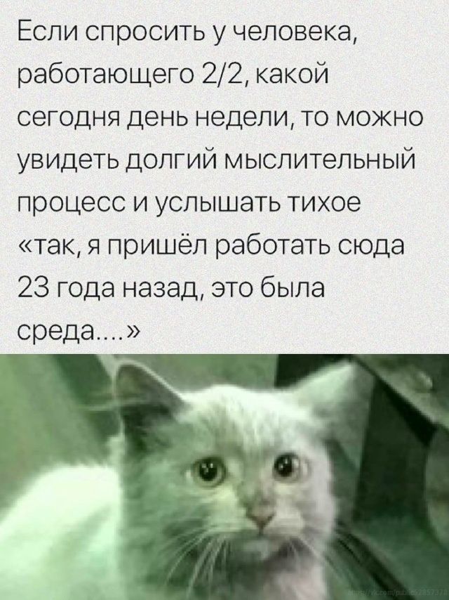 Если спросить у человека, работающего 2/2, какой сегодня день недели, то можно увидеть долгий мыслительный процесс и услышать тихое «так, я пришёл работать сюда 23 года назад, это была среда...»