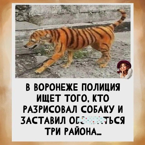 В Воронеже полиция ищет того, кто разрисовал собаку и заставил оглядываться три района...