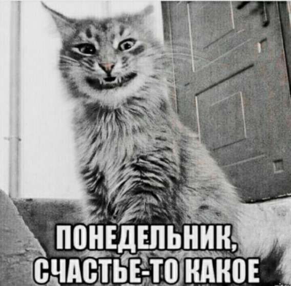 ПОНЕДЕЛЬНИК, СЧАСТЬЕ-ТО КАКОЕ