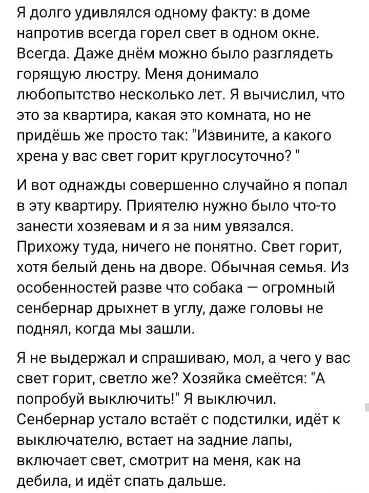 Я долго удивлялся одному факту: в доме напротив всегда горел свет в одном окне. Всегда. Даже днём можно было разглядеть горящую люстру. Меня донимало любопытство несколько лет. Я вычислил, что это за квартира, какая это комната, но не придёшь же просто так: 