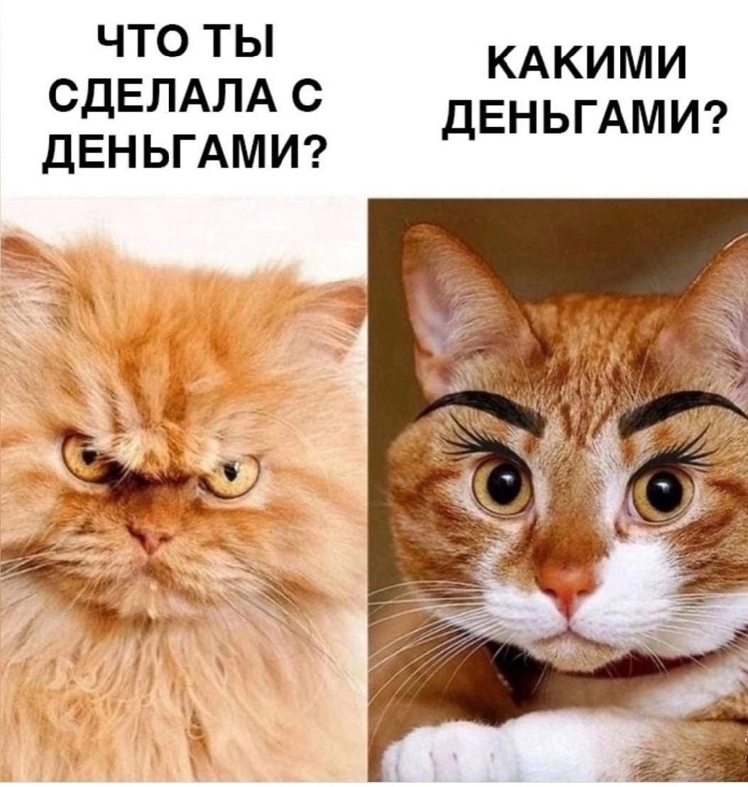 ЧТО ТЫ СДЕЛАЛА С ДЕНЬГАМИ? КАКИМИ ДЕНЬГАМИ?