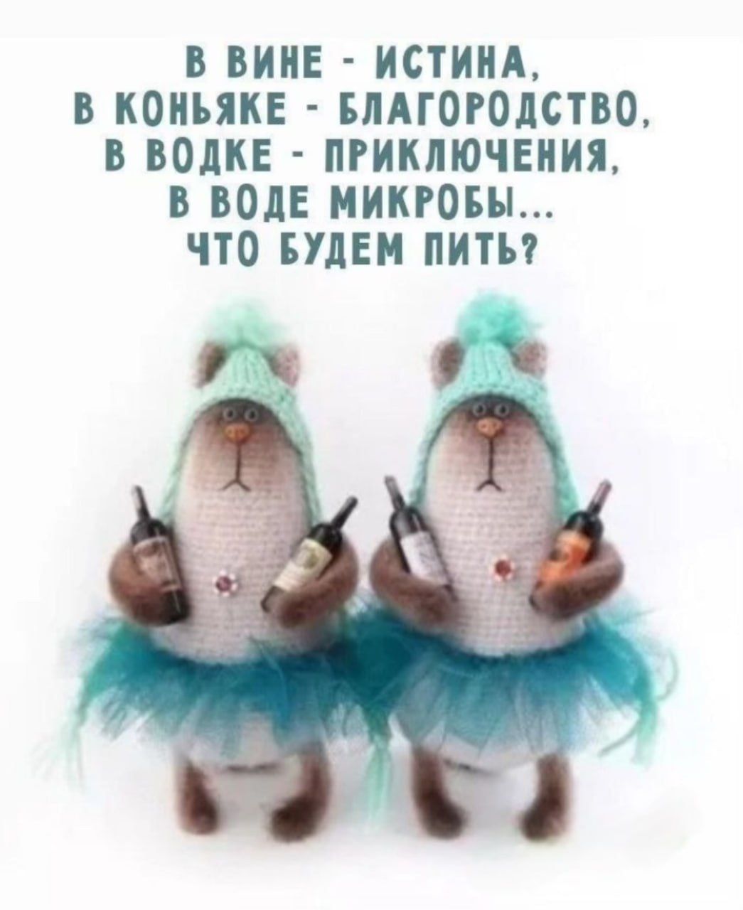 В ВИНЕ - ИСТИНА, В КОНЬЯКЕ - БЛАГОРОДСТВО, В ВОДКЕ - ПРИКЛЮЧЕНИЯ, В ВОДЕ МИКРОБЫ... ЧТО БУДЕМ ПИТЬ?