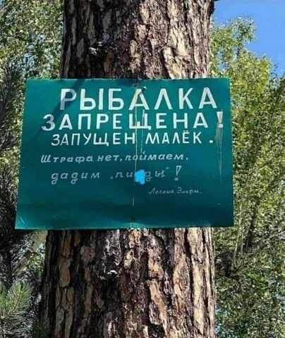 РЫБАЛКА ЗАПРЕЩЕНА! ЗАПУЩЕН МАЛЁК. Штрафа нет, поймаем, дадим 