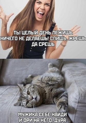 ТЫ ЦЕЛЫЙ ДЕНЬ ЛЕЖИШЬ НИЧЕГО НЕ ДЕЛАЕШЬ! СПИШЬ, ЖРЕШЬ ДА СРЕШЬ МУЖИКА СЕБЕ НАЙДИ И ОРИ НА НЕГО, ДУРА