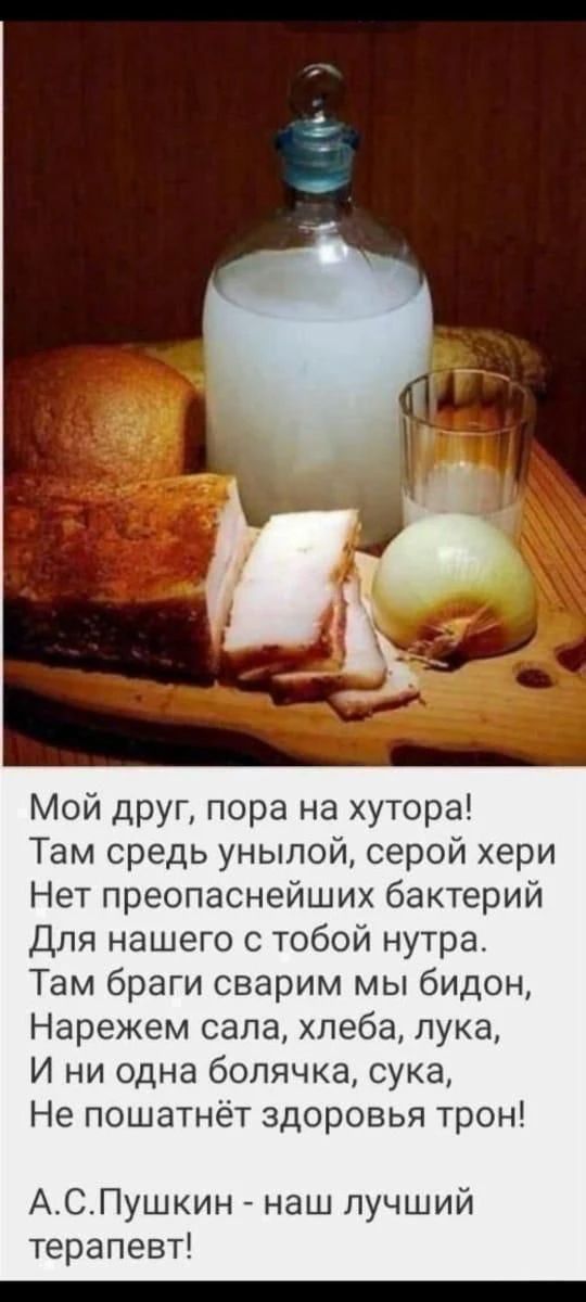 Мой друг, пора на хутора! Там средь унылой, серой хери Нет преопаснейших бактерий Для нашего с тобой нутра. Там браги сварим мы бидон, Нарежем сала, хлеба, лука, И ни одна болячка, сука, Не пошатнёт здоровья трон! А.С.Пушкин - наш лучший терапевт!