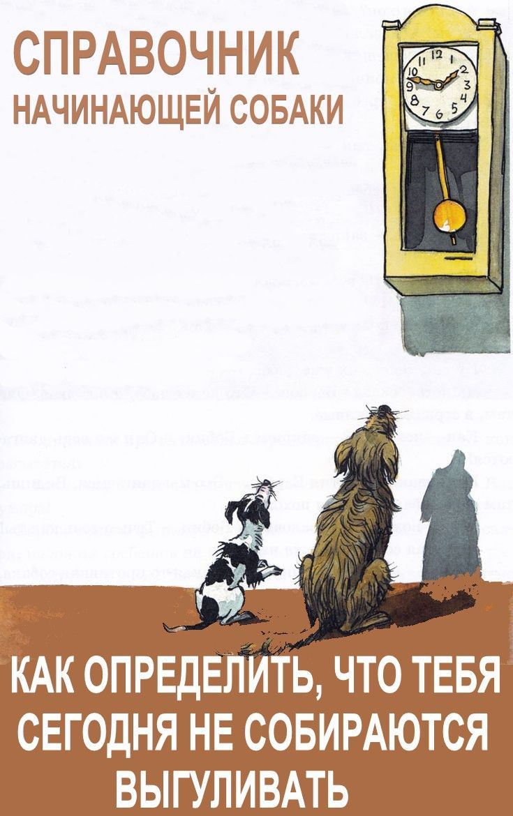 СПРАВОЧНИК НАЧИНАЮЩЕЙ СОБАКИ КАК ОПРЕДЕЛИТЬ, ЧТО ТЕБЯ СЕГОДНЯ НЕ СОБИРАЮТСЯ ВЫГУЛИВАТЬ