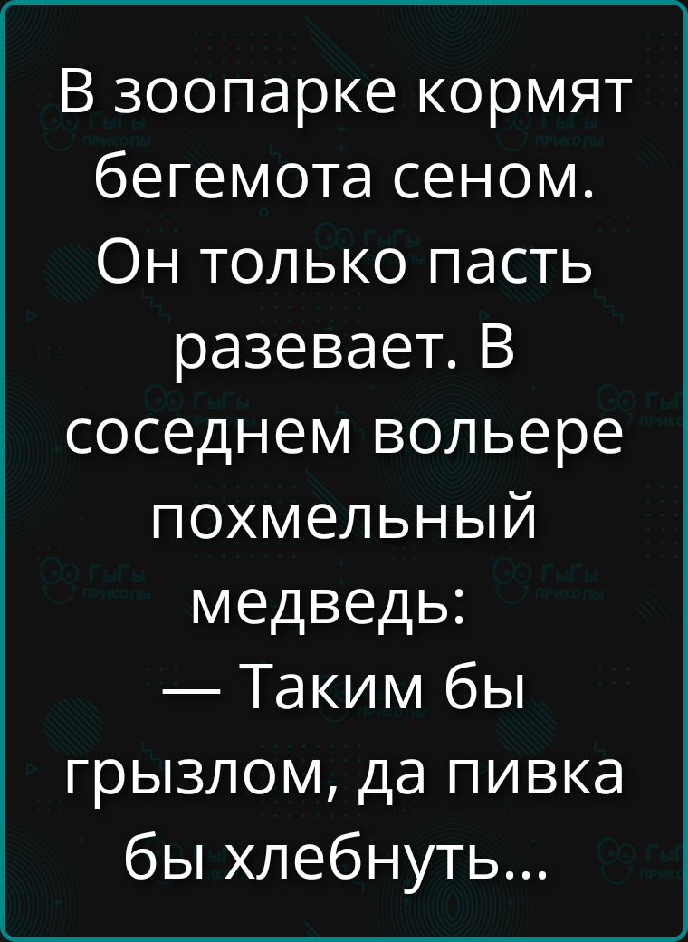 В зоопарке кормят бегемота сеном. Он только пасть разевает. В соседнем вольере похмельный медведь: — Таким бы грызлом, да пивка бы хлебнуть...