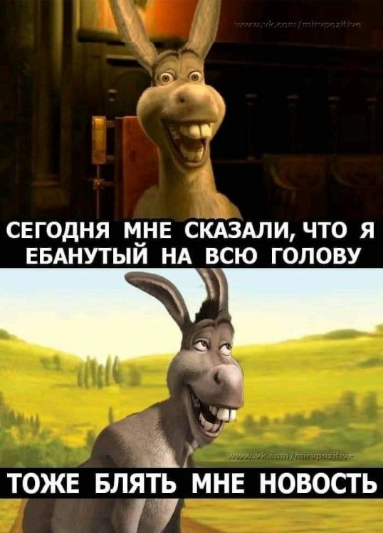 сегодня мун скАздли что я ЕБАНУТЫИ НА всю голову Фещ ТОЖЕ БП МНЕ НОВОСТЬ