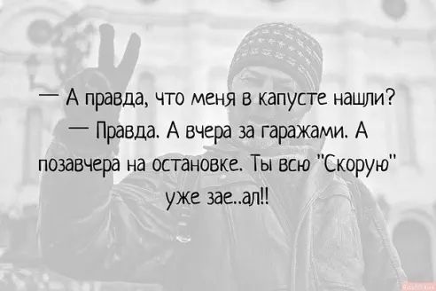 А правда что меня в капусте нашли Правда А вчера за гаражами А позавчера на остановке Ты всю Скорую уже заедл