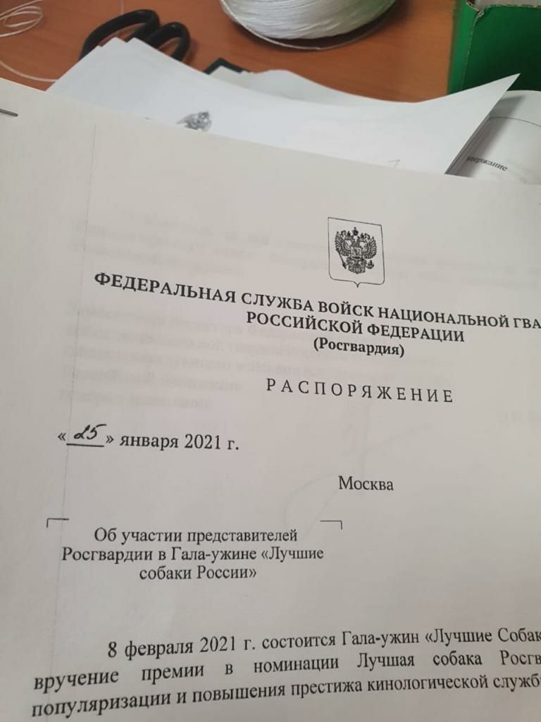 а января 2021 г Г Об участии представителей Росгвардни в Галаужине Лучшие собаки России 2021 г состоится Гала ужин Шучшие Собак и в номинации Лучшая собаки Росгв а кинологической служб 8 февраля И в чение прем пёйуляризации и повышения пресгиж
