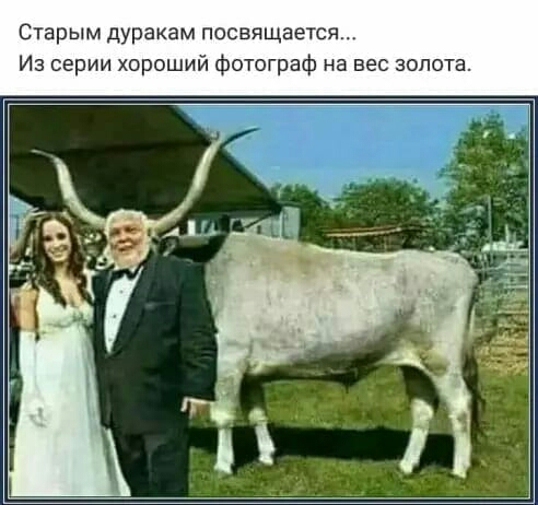 Старым дуракам посвящается Из серии хороший фотограф на вес золота