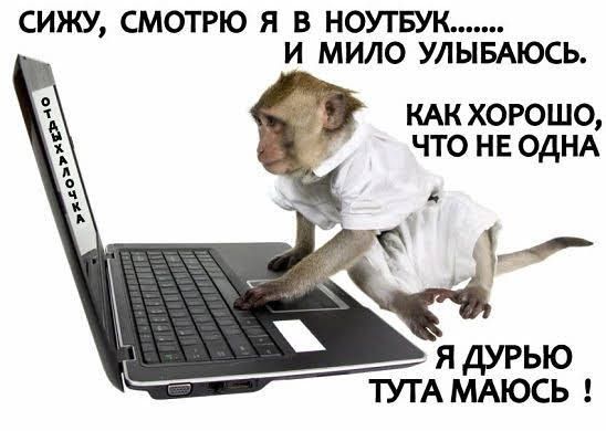СИЖУ СМОТРЮ Я В НОУТБУК И МИЛО УЛЫБАЮСЬ _ за КАК хорошо 1 что нв ОДНА ТУТА МАЮСЬ