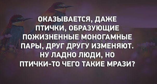 ОКАЗЫВАЕТСЯ дАЖЕ ПТИЧКИ ОБРАЗУЮЩИЕ ПОЖИЗНЕННЫЕ МОНОГАМНЫЕ ПАРЫ дРУГ дРУГУ ИЗМЕНЯЮТ НУ ЛАДНО ЛЮДИ НО ПТИЧКИ ТО ЧЕГО ТАКИЕ МРАЗИ