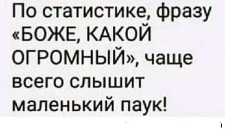 По статистике фразу БОЖЕ КАКОЙ ОГРОМНЫЙ чаще всего слышит маленький паук