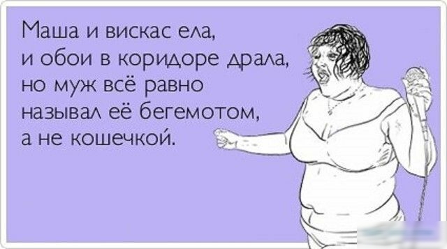 Маша и вискас из и обои в коридоре Арада но муж всё равно называА её бегемотом а не кошечкой