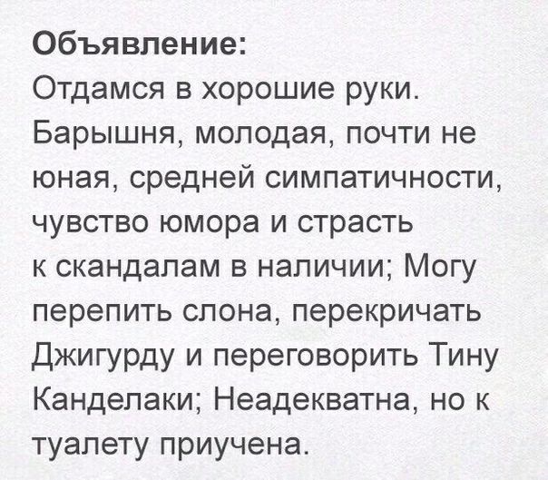Объявление Отдамся в хорошие руки Барышня молодая почти не юная средней симпатичности чувство юмора и страсть к скандалам в наличии Могу перелить слона перекричать Джигурду и переговорить Тину Канделаки Неадекватна но к туалету приучена