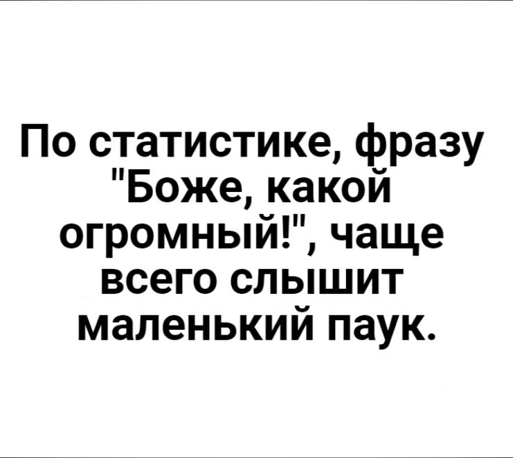 По статистике фразу Боже какой огромный чаще всего слышит маленький паук