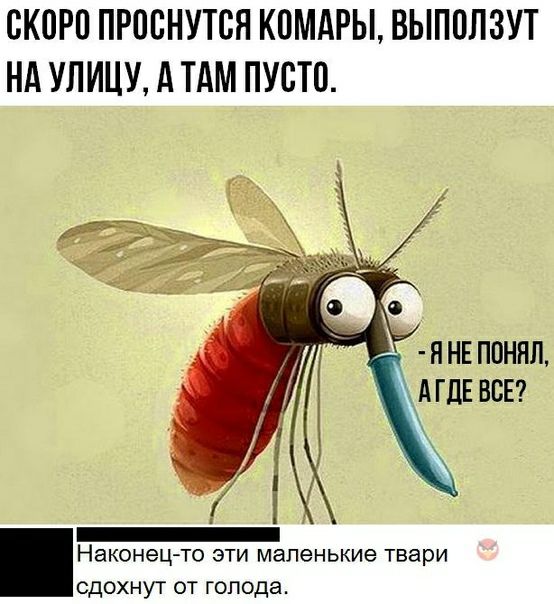 ОКОРО ПРООНУТОЯ КОМАРЫ ВЫПОЛЗУТ НА УЛИЦУ А ТАМ ПУСТО ян5ппннп __А ГДЕ всп _ НЭК0Н6ЦТ0 ЭТИ маленькие твари СДОХНУТ ОТ голода