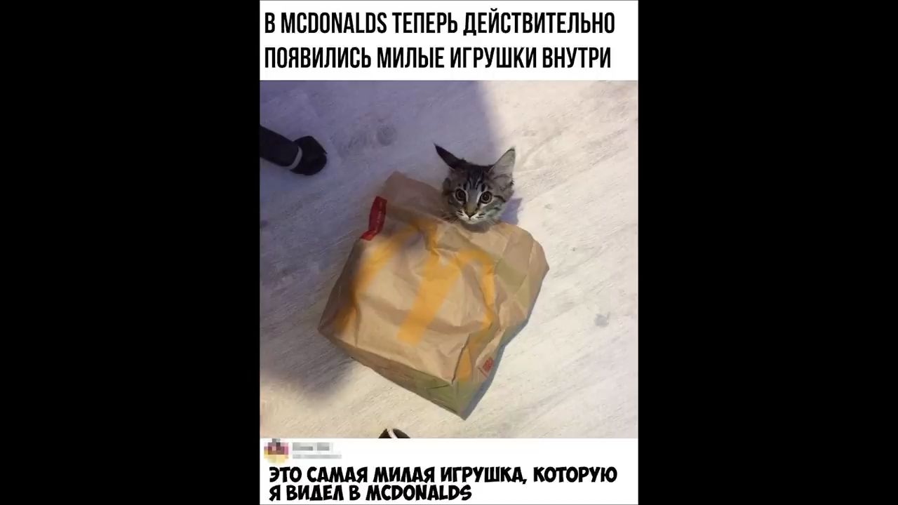 В МВПОИАШЗ ТЕПЕРЬ ДЕЙСТВИТЕЛЬНО ПОЯВИЛИСЬ МИЛЫЕ ИГРУШКИ ВНУТРИ и ЭТО САМАЯ МИДАЯ ИГРУШКА КОТОРУЮ Я ВИДЕЛ В МСРОПАЪРБ