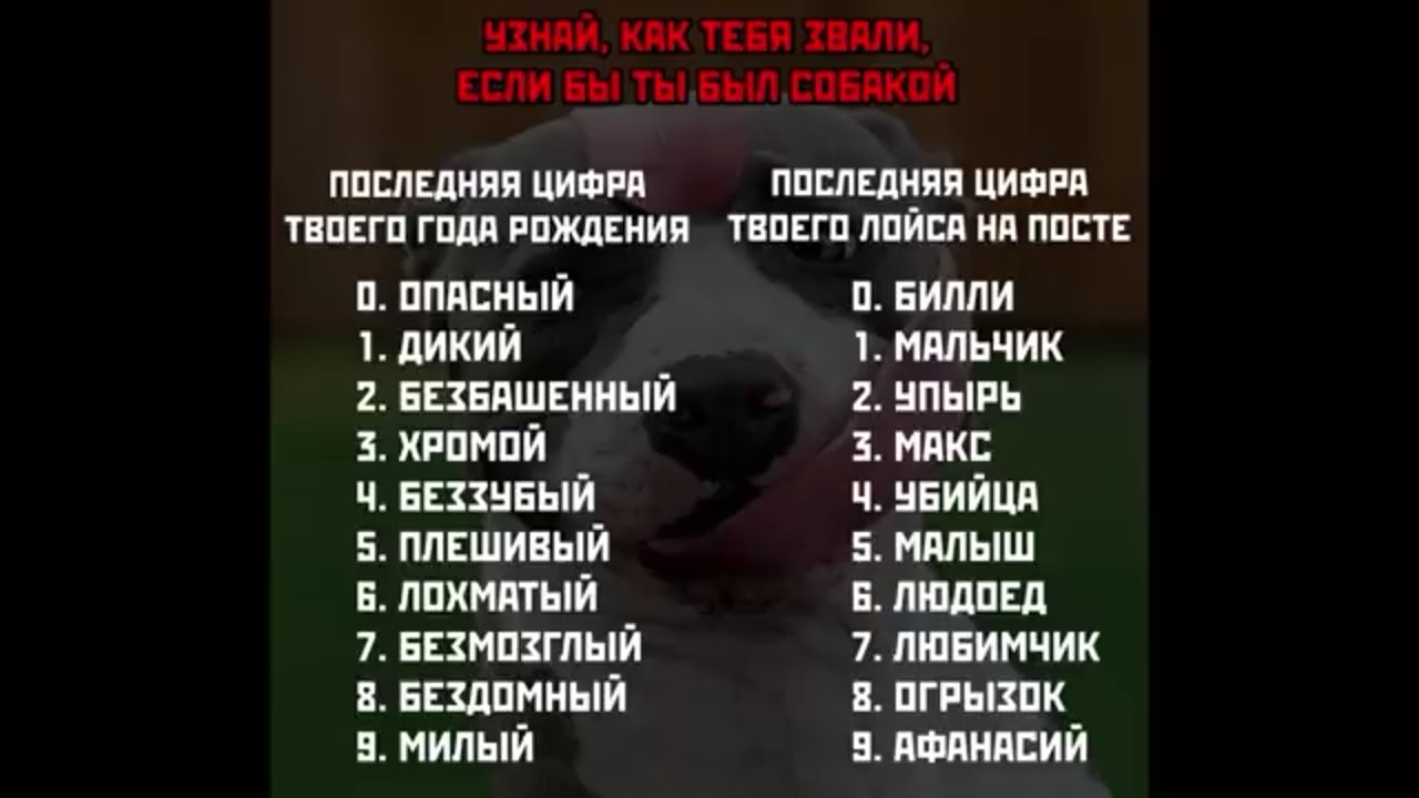 ихний как тваи пали ЕСЛИ вы ты выл свалкой ппслвдняя цишпя ппслвдцяп цифра твцвгп гида рождения твпвгп пписд ня пасть п пппсный п БИППИ дикий 1 мдльчик 2 всзвдшенный 2 нпыпь 3 хппмпй мик ч винный ч нвийцд 5 ппншивый 5 мяпыш в лпхмдтый в людина 7 ввзмпзгпый 7 пшвимчик 8 Бныпмный пгпызпк 5 милый и дшнпсий