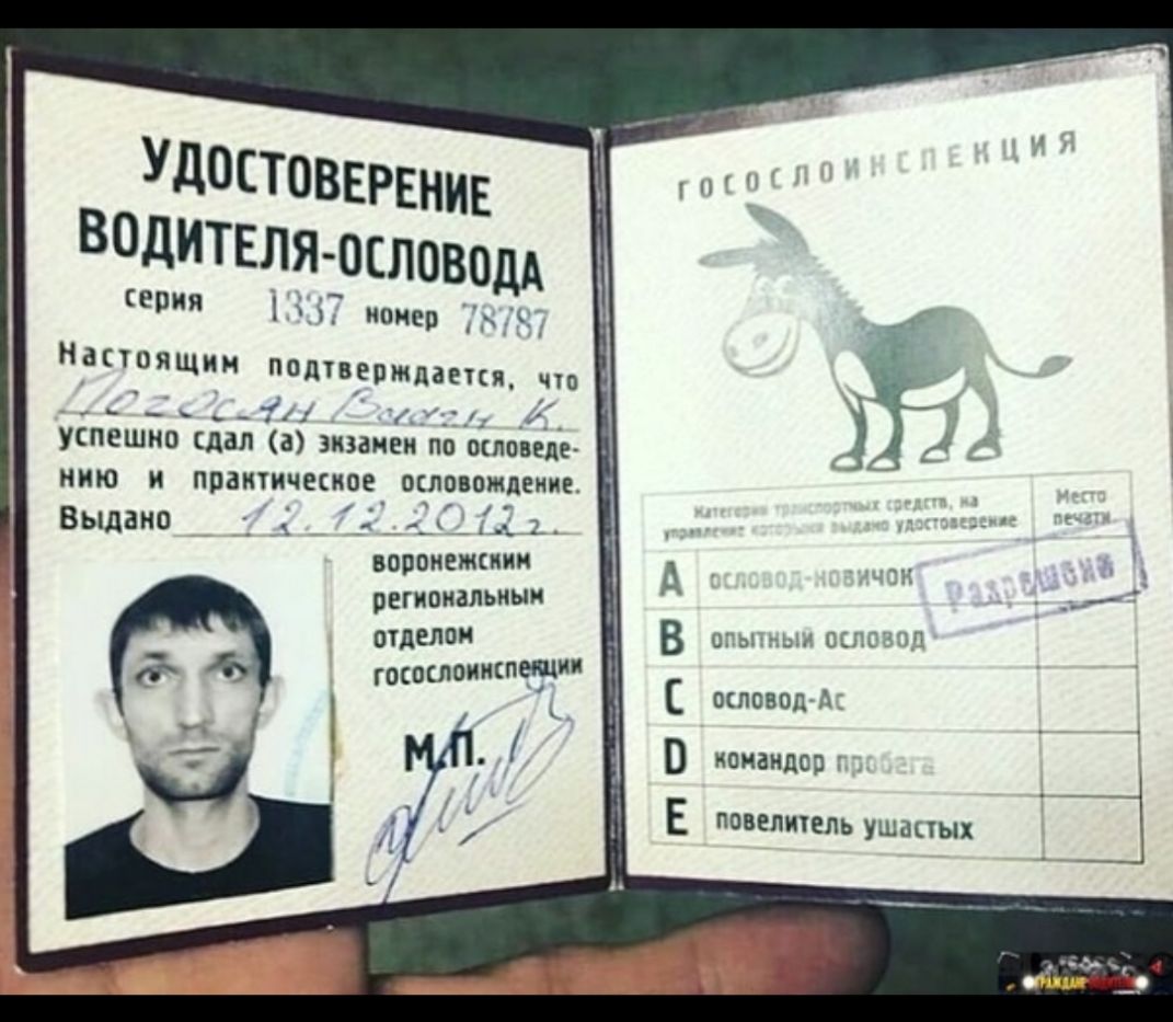 Удостовврвнив Водителяословощ В 19 номер ющ ЯЩИН подтверждены что _ ь У 11 чт успешно дал а экзамен по исповеда нию и практическое оёловпждеиив Выдано _ Г ворвнешпии регионалъиыи отдало Ц гостю ишет ОТЫчЬм ОГСЧЩ ословод А командор ПОВЕЛИЧЕЛЬ УШВПЫХ