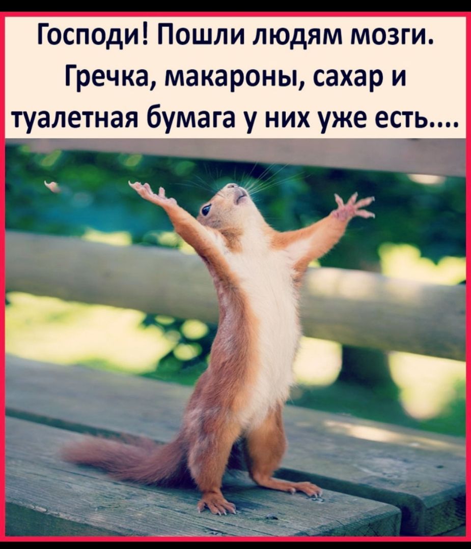 Господи Пошли людям мозги Гречка макароны сахар и туалетная бумага у них уже есть