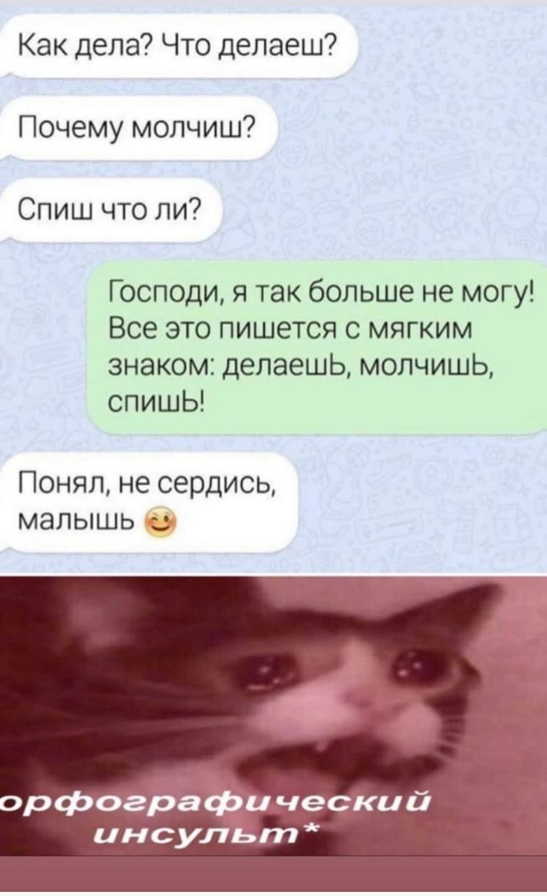 Как дела Что делаеш Почему молчиш Спиш что ли Господи я так больше не могу Все это пишется с мягким знаком делаешь молчишь спишЬ Понял не сердись малышь