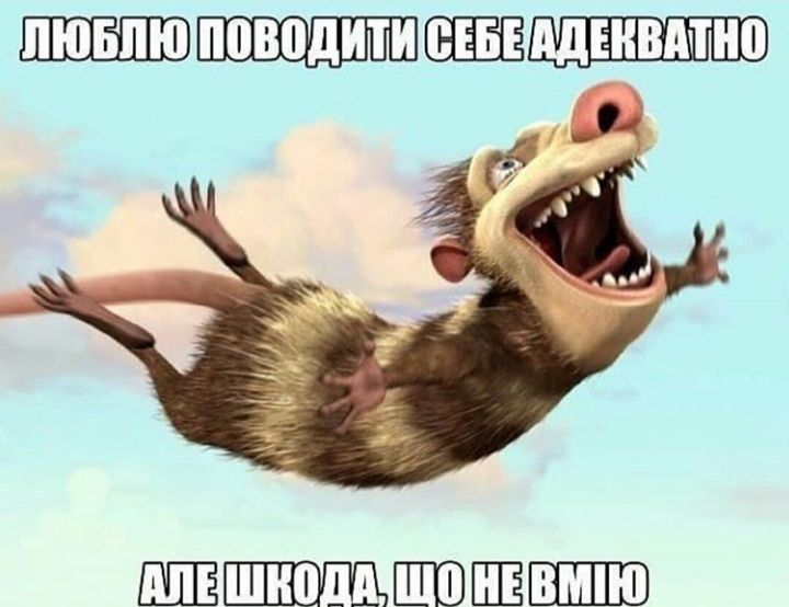 ШШЁШШШШЁЁ