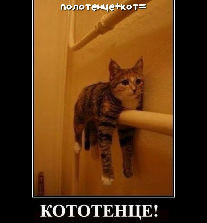 полотенцект КОТОТЕНЦЕ