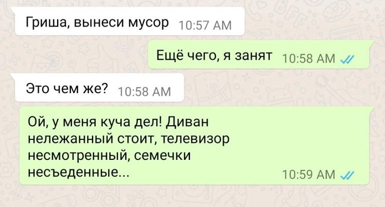 Гриша ВЫНЕСИ МУСОР 10357 АМ Ещё чего я занят 1058 АМ Это чем же 10 58 Ам Ой у меня куча деп Диван нележанный стоит телевизор несмотренный семечки несъеденные 1059 АМ
