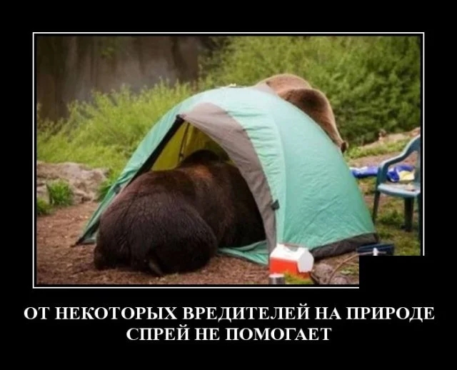 ОТ НЕКОТОРЫХ ВРЕДИТЕЛЕЙ НА ПРИРОДЕ СПРЕЙ НЕ ПОМОГАЕТ