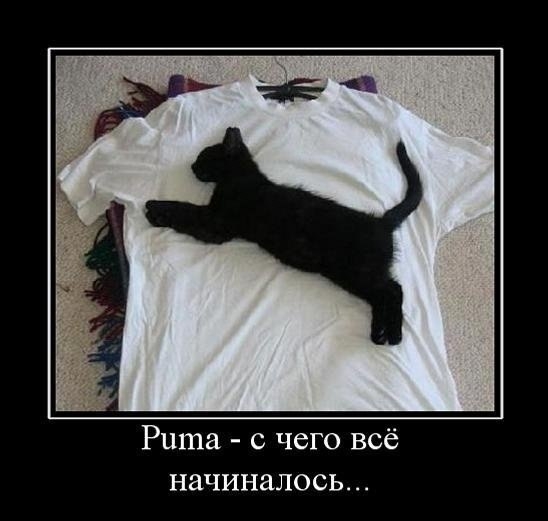 Рита с чего всё начиналось