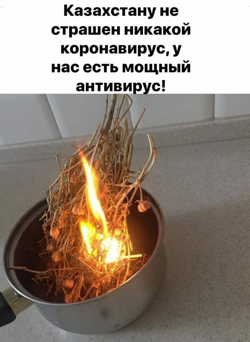Казахстану не страшен никакой коронавирус у нас есть мощный с