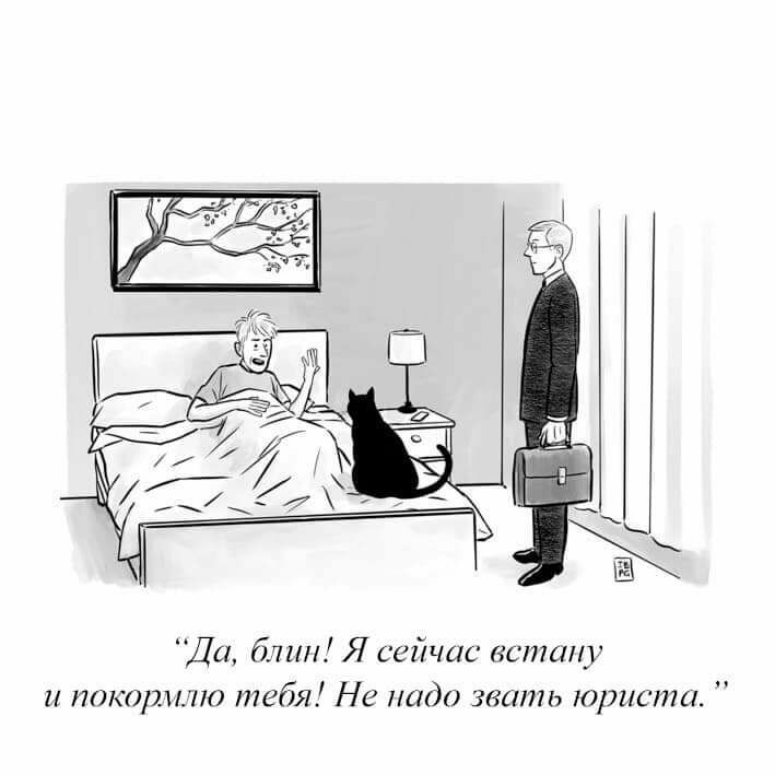 _ у _ _ Да шт Я сеичас выпи1 и покашло тебя Не надо звать юристы