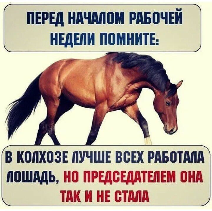 ПЕРЕД НАЧМВМ РдБВЧЕЙ НЕДЕЛИ ППМНИТЕ В КППХВЗЕ ЛУЧШЕ ВСЕХ РАБППША ЮШМЬД ПС ШБЗЁЭЩПЪШШ ШКШ БЕ Е Ш